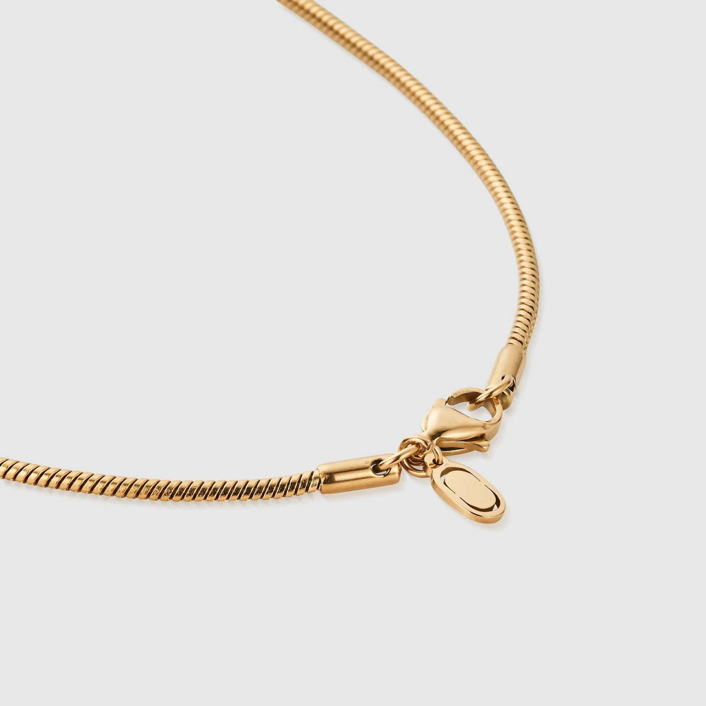 Cadena Serpiente (Oro) 2MM